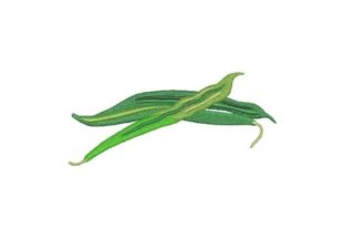 Bush Beans: A Harvest-Ready Embroidery Design for Small Business Merch