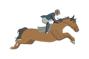 Horse Show Jumping Profile – A Design Review